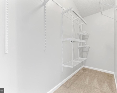 427 Mayapple Court - Photo Thumbnail 23