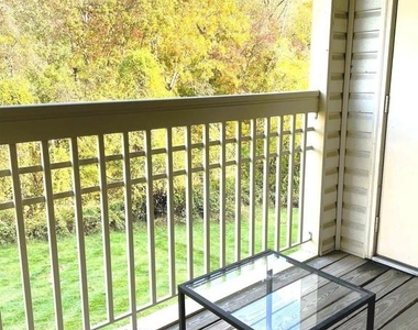 303 Tall Pines Court - Photo Thumbnail 18