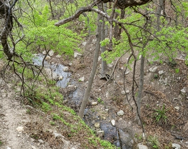 107 Cascading Waters Pl - Photo Thumbnail 28