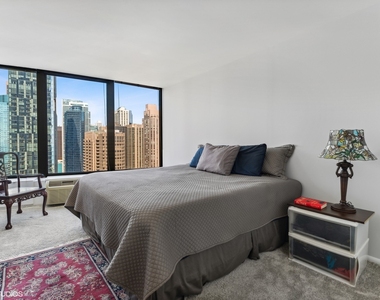 505 N Lake Shore Drive - Photo Thumbnail 8