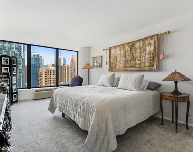 505 N Lake Shore Drive - Photo Thumbnail 6