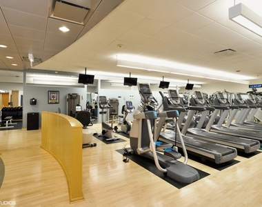 505 N Lake Shore Drive - Photo Thumbnail 12