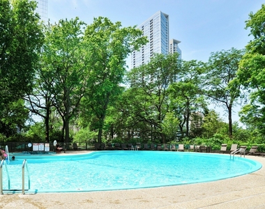 505 N Lake Shore Drive - Photo Thumbnail 17