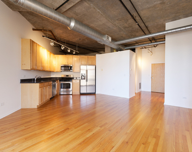 933 W Van Buren Street - Photo Thumbnail 3