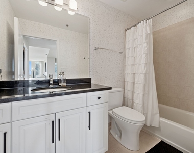 1250 S Michigan Avenue - Photo Thumbnail 12