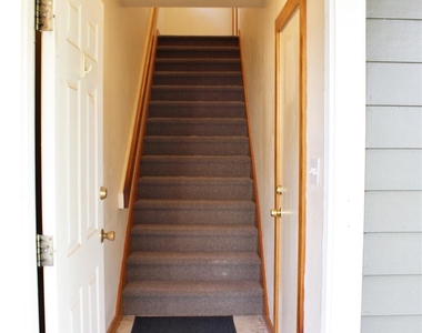 428 Dewees Street - Photo Thumbnail 14