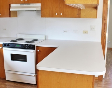 428 Dewees Street - Photo Thumbnail 8