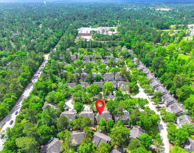 30 Butterfly Branch Place - Photo Thumbnail 6
