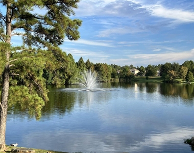 923 Saginaw Bay Court - Photo Thumbnail 35
