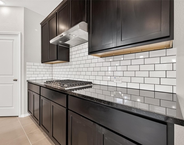 311 Violet Crown Lane - Photo Thumbnail 11