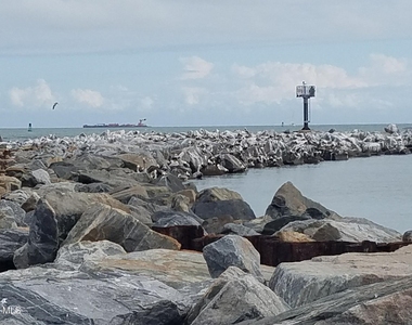 8401 N Atlantic Avenue - Photo Thumbnail 18