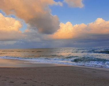 8401 N Atlantic Avenue - Photo Thumbnail 15