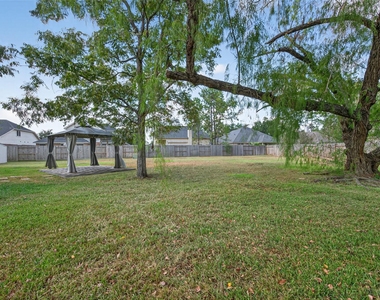 1003 Alp Springs Court - Photo Thumbnail 44
