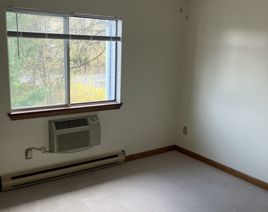 671-3 Wilson Street - Photo Thumbnail 11