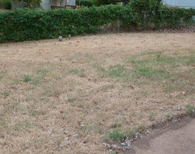 2421 Sandra Drive - Photo Thumbnail 11