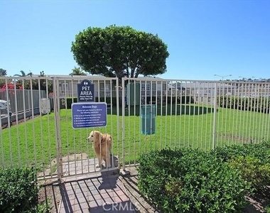 10 Saratoga - Photo Thumbnail 24