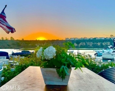 10 Saratoga - Photo Thumbnail 15