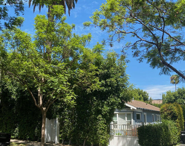 1202 N Poinsettia Place - Photo Thumbnail 22