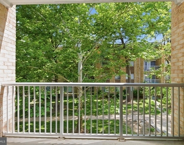 2908 Kings Chapel Road - Photo Thumbnail 19