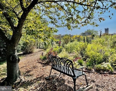 3824 Porter Street Nw - Photo Thumbnail 38