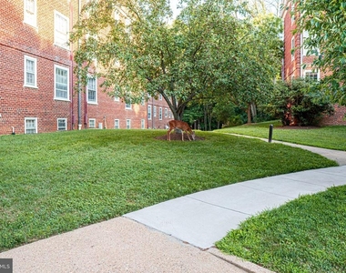 3824 Porter Street Nw - Photo Thumbnail 35