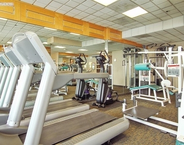 195 N Harbor Drive - Photo Thumbnail 19