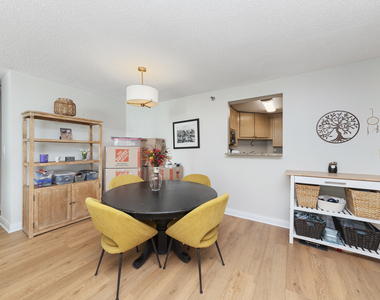 195 N Harbor Drive - Photo Thumbnail 3