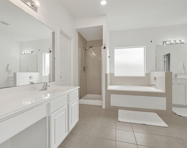 21406 Snow Goose Court - Photo Thumbnail 16