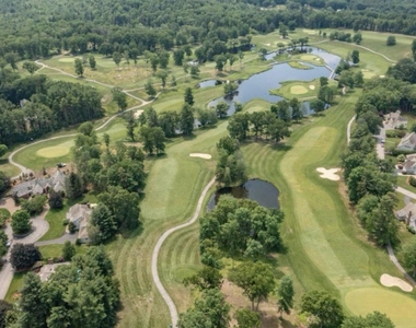 57 Green Heron - Photo Thumbnail 19