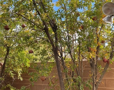2164 Lone Desert Street - Photo Thumbnail 43
