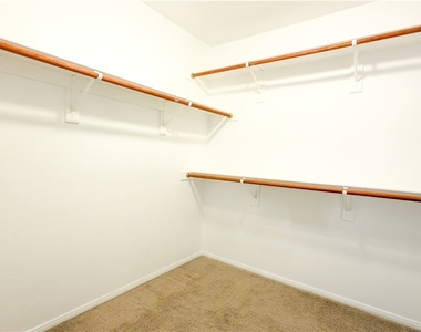 3610 Pinnate Drive - Photo Thumbnail 7