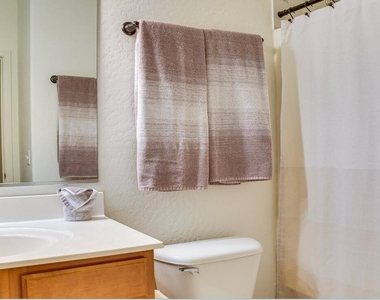 1117 E Milada Drive - Photo Thumbnail 19