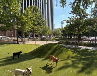 1200 Main Street - Photo Thumbnail 26