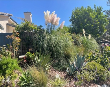 2418 Manet Lane - Photo Thumbnail 3