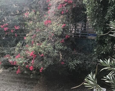 1843 S Beverly Glen Boulevard - Photo Thumbnail 15