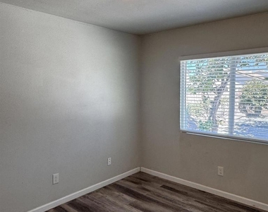 3678 Plumbago - Photo Thumbnail 12
