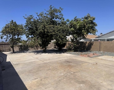 3678 Plumbago - Photo Thumbnail 22