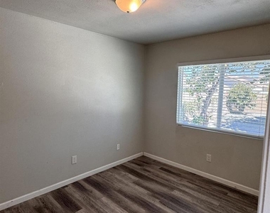 3678 Plumbago - Photo Thumbnail 10