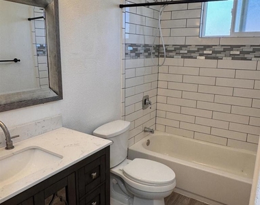 3678 Plumbago - Photo Thumbnail 13