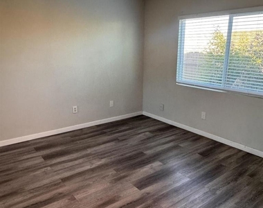 3678 Plumbago - Photo Thumbnail 17