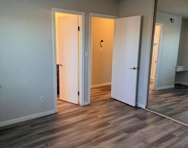 3678 Plumbago - Photo Thumbnail 18