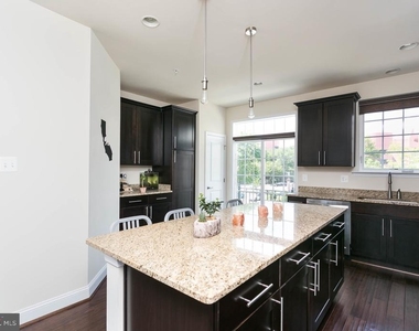 19 Willow Avenue - Photo Thumbnail 12