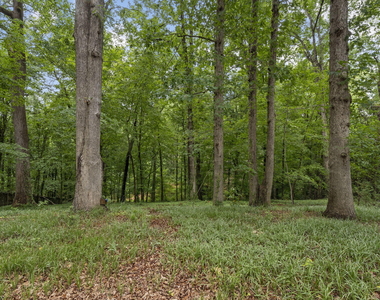 4419 Laurel Hills Road - Photo Thumbnail 36