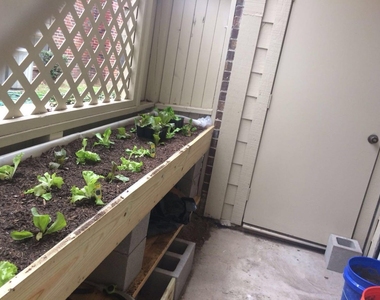 8055 Cambridge Street - Photo Thumbnail 28
