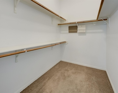 13751 Crested Iris Drive - Photo Thumbnail 14