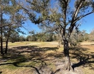 3505 Tarpon Woods Boulevard - Photo Thumbnail 25