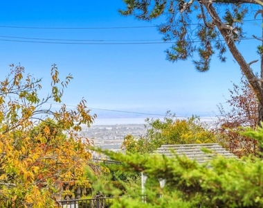 1061 Parrott Drive - Photo Thumbnail 4
