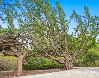 1061 Parrott Drive - Photo Thumbnail 5