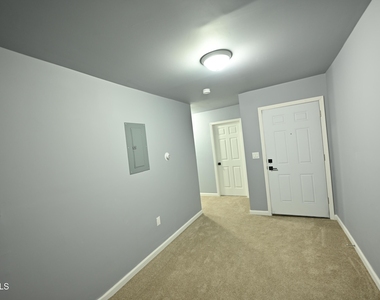 44 Alexander Street - Photo Thumbnail 4