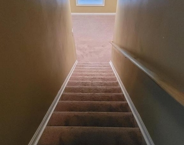 22 Ripley Rd - Photo Thumbnail 60